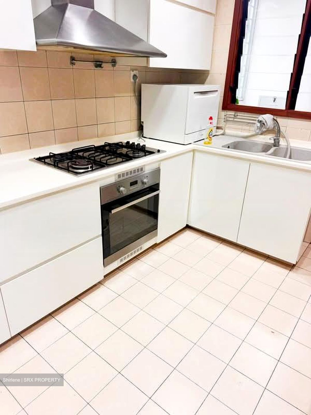 Carissa Park Condominium (D17), Condominium #588828731